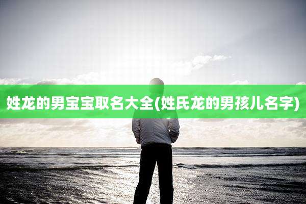 姓龙的男宝宝取名大全(姓氏龙的男孩儿名字)