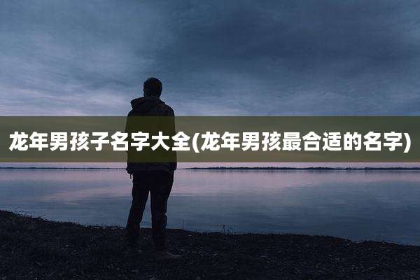龙年男孩子名字大全(龙年男孩最合适的名字)