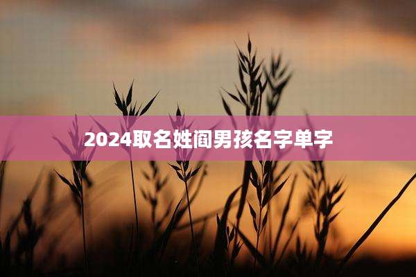 2024取名姓阎男孩名字单字