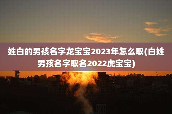 姓白的男孩名字龙宝宝2023年怎么取(白姓男孩名字取名2022虎宝宝)