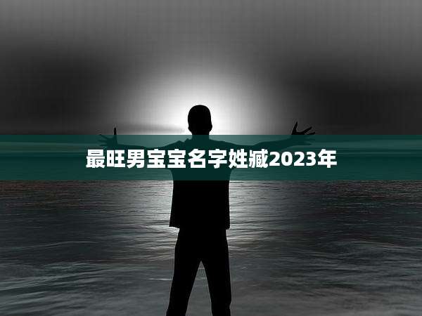 最旺男宝宝名字姓臧2023年