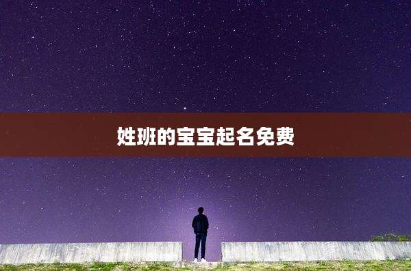 姓班的宝宝起名免费