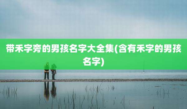 带禾字旁的男孩名字大全集(含有禾字的男孩名字)