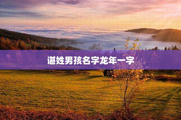 谌姓男孩名字龙年一字