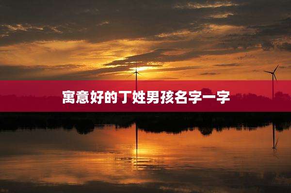 寓意好的丁姓男孩名字一字