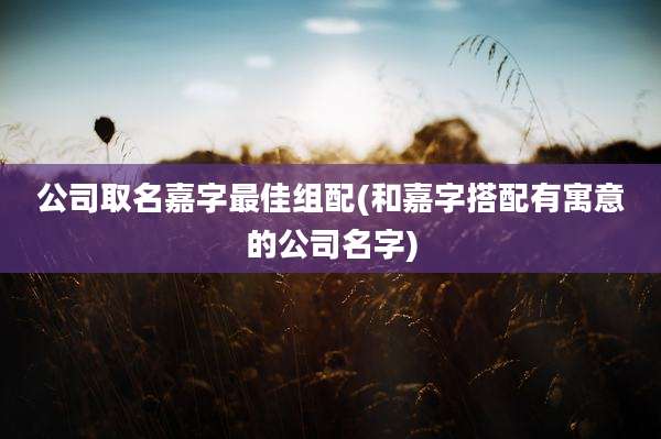 公司取名嘉字最佳组配(和嘉字搭配有寓意的公司名字)