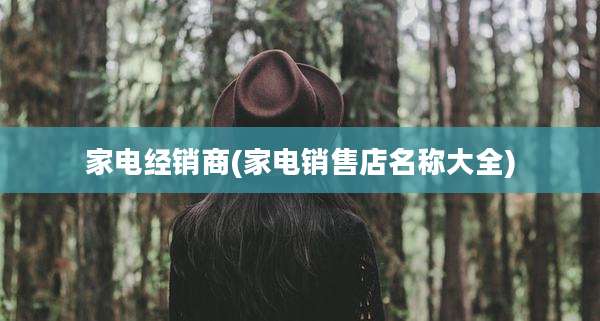 家电经销商(家电销售店名称大全)