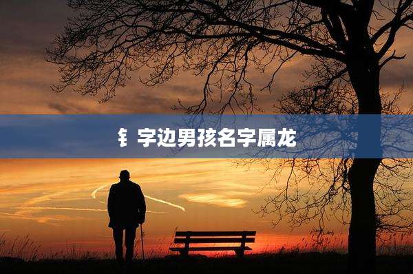 钅字边男孩名字属龙