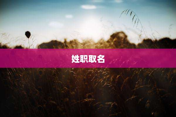 姓职取名