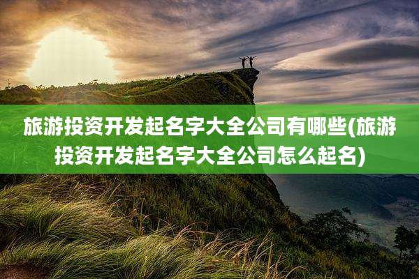 旅游投资开发起名字大全公司有哪些(旅游投资开发起名字大全公司怎么起名)