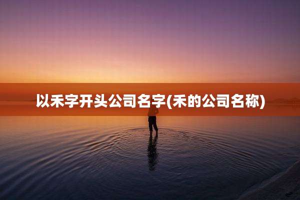 以禾字开头公司名字(禾的公司名称)