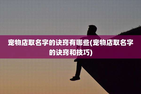 宠物店取名字的诀窍有哪些(宠物店取名字的诀窍和技巧)