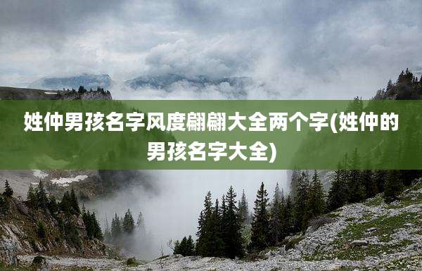 姓仲男孩名字风度翩翩大全两个字(姓仲的男孩名字大全)