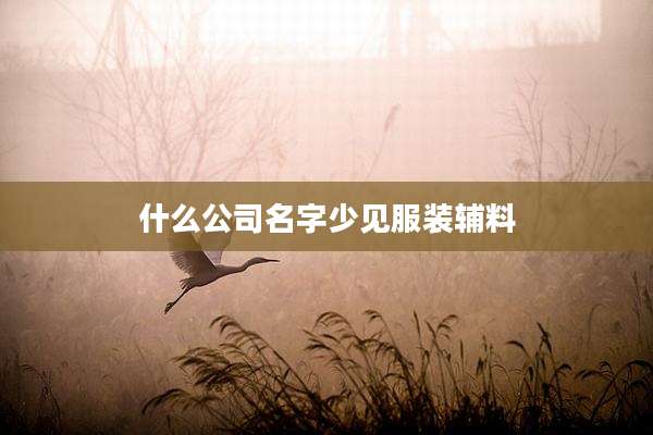 什么公司名字少见服装辅料