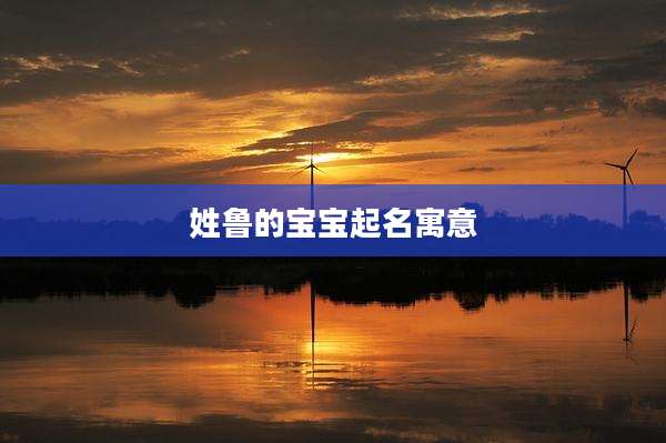 姓鲁的宝宝起名寓意