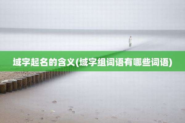 域字起名的含义(域字组词语有哪些词语)