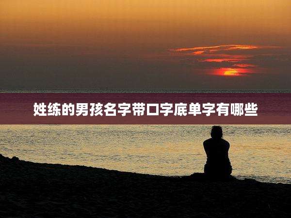 姓练的男孩名字带口字底单字有哪些