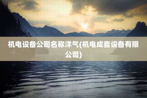 机电设备公司名称洋气(机电成套设备有限公司)
