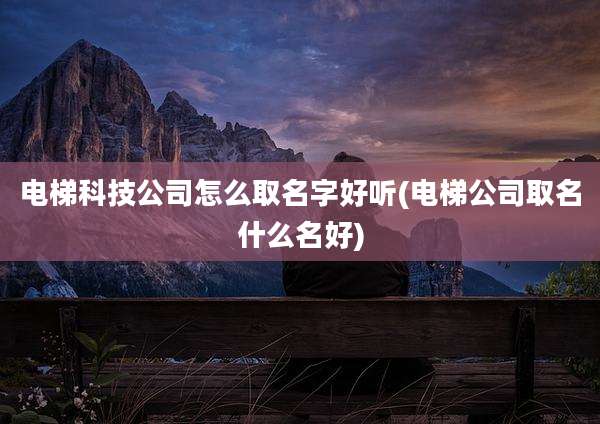 电梯科技公司怎么取名字好听(电梯公司取名什么名好)