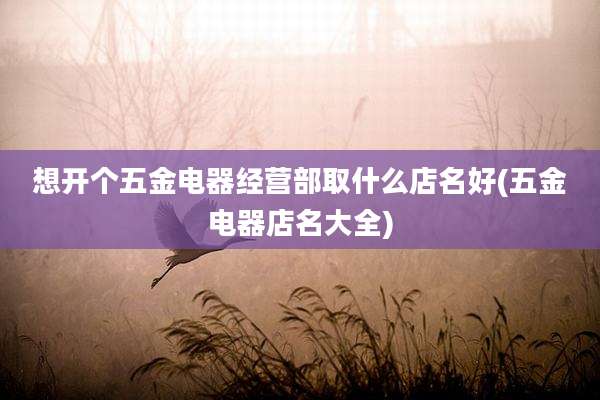 想开个五金电器经营部取什么店名好(五金电器店名大全)