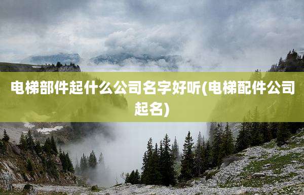电梯部件起什么公司名字好听(电梯配件公司起名)