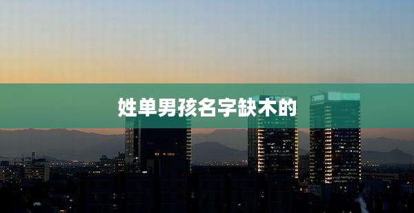 姓单男孩名字缺木的