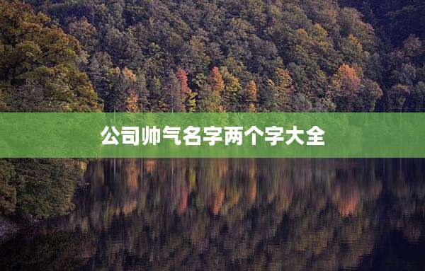 公司帅气名字两个字大全