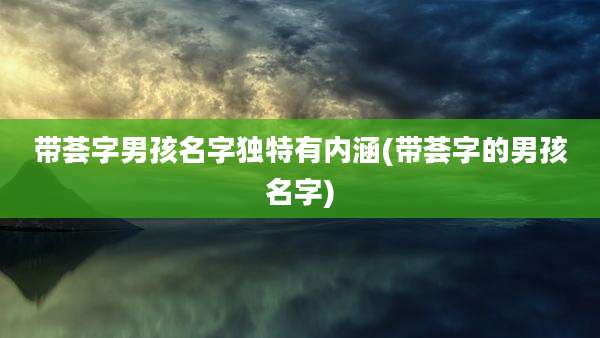带荟字男孩名字独特有内涵(带荟字的男孩名字)