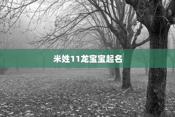 米姓11龙宝宝起名