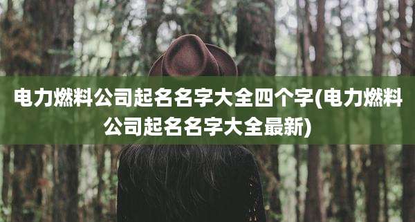 电力燃料公司起名名字大全四个字(电力燃料公司起名名字大全最新)