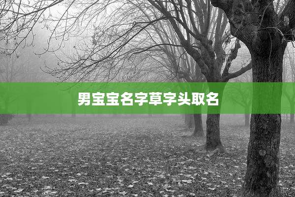 男宝宝名字草字头取名