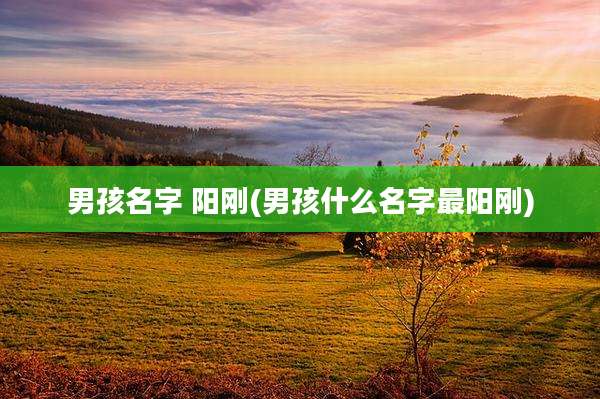 男孩名字 阳刚(男孩什么名字最阳刚)