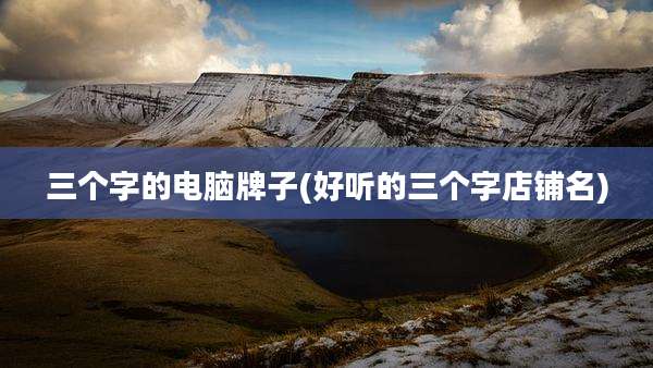 三个字的电脑牌子(好听的三个字店铺名)