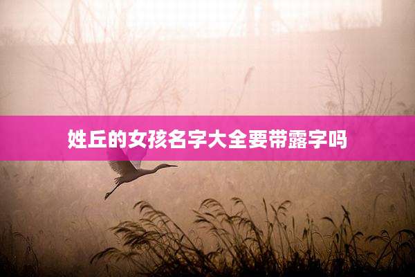 姓丘的女孩名字大全要带露字吗