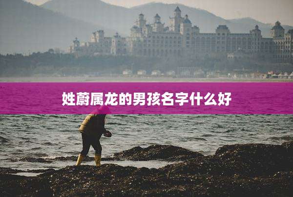 姓蔚属龙的男孩名字什么好