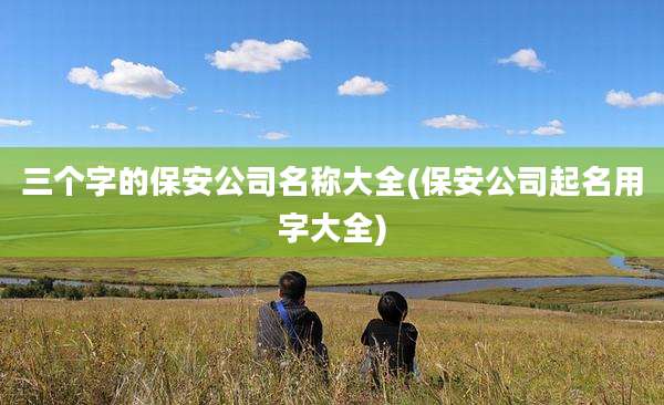三个字的保安公司名称大全(保安公司起名用字大全)
