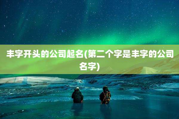 丰字开头的公司起名(第二个字是丰字的公司名字)