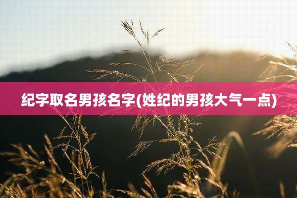 纪字取名男孩名字(姓纪的男孩大气一点)