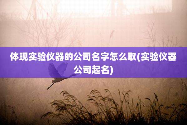 体现实验仪器的公司名字怎么取(实验仪器公司起名)