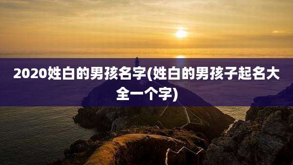 2020姓白的男孩名字(姓白的男孩子起名大全一个字)