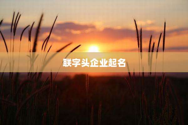 联字头企业起名
