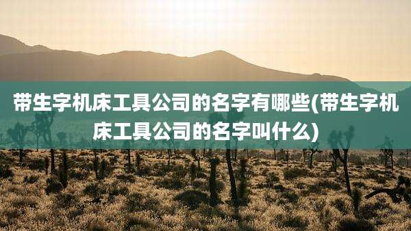 带生字机床工具公司的名字有哪些(带生字机床工具公司的名字叫什么)