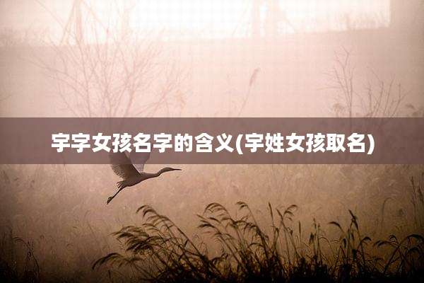 宇字女孩名字的含义(宇姓女孩取名)