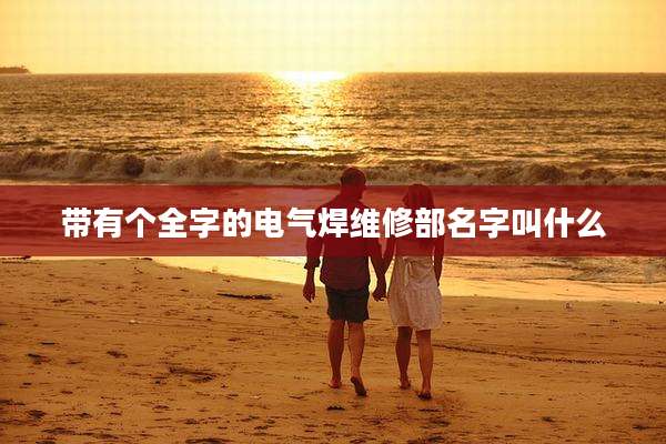 带有个全字的电气焊维修部名字叫什么