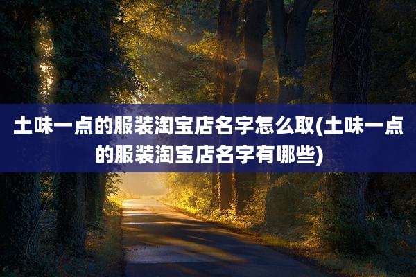 土味一点的服装淘宝店名字怎么取(土味一点的服装淘宝店名字有哪些)