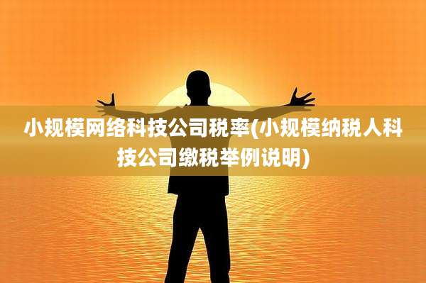 小规模网络科技公司税率(小规模纳税人科技公司缴税举例说明)