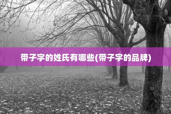 带子字的姓氏有哪些(带子字的品牌)