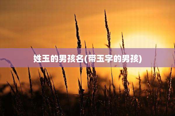 姓玉的男孩名(带玉字的男孩)
