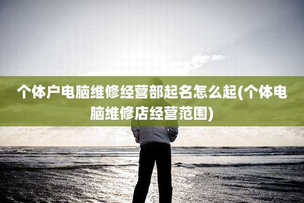 个体户电脑维修经营部起名怎么起(个体电脑维修店经营范围)
