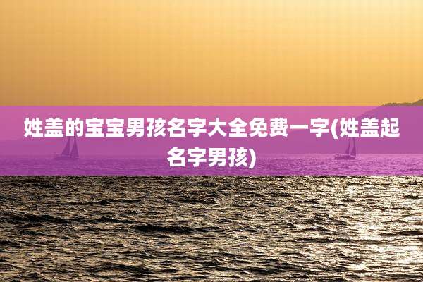 姓盖的宝宝男孩名字大全免费一字(姓盖起名字男孩)